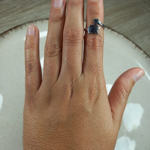 Anillo - Midi flecha.